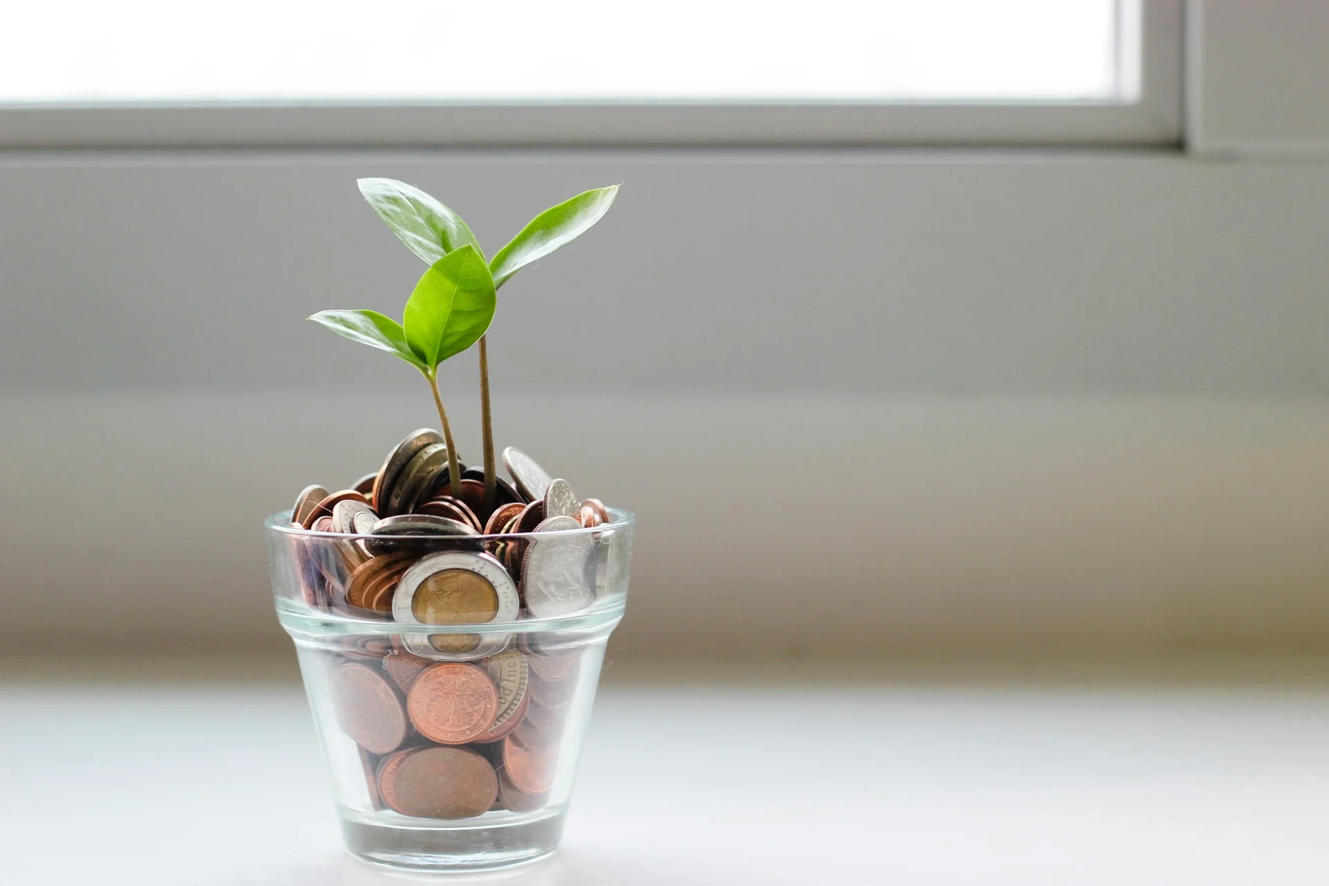 Connecter sa maison pour faire des économies d'électricité - Crédit photo Micheile Henderson (Unsplash)